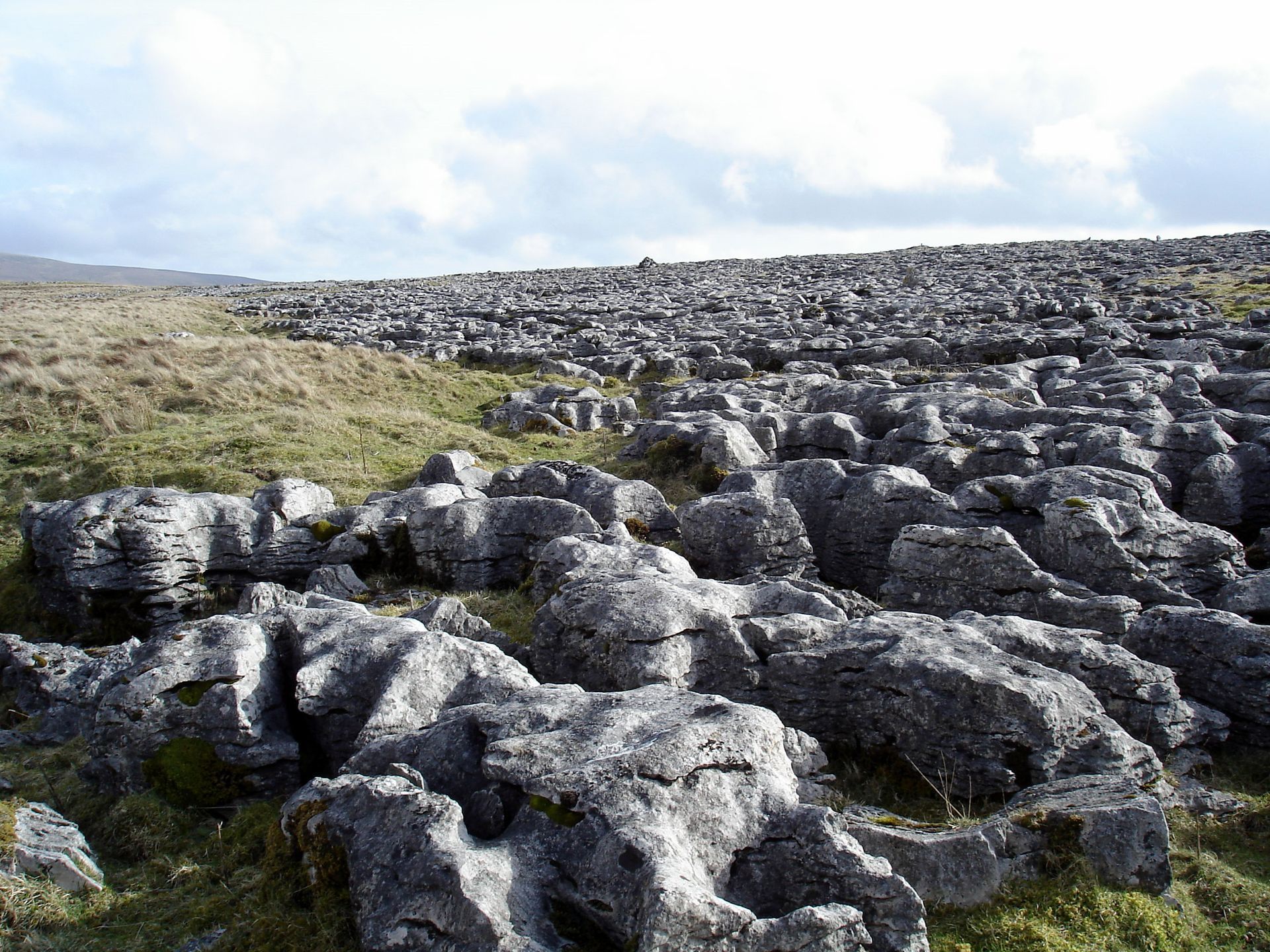 Rocky limestone pavement landscape with sparse grass under a cloudy sky.