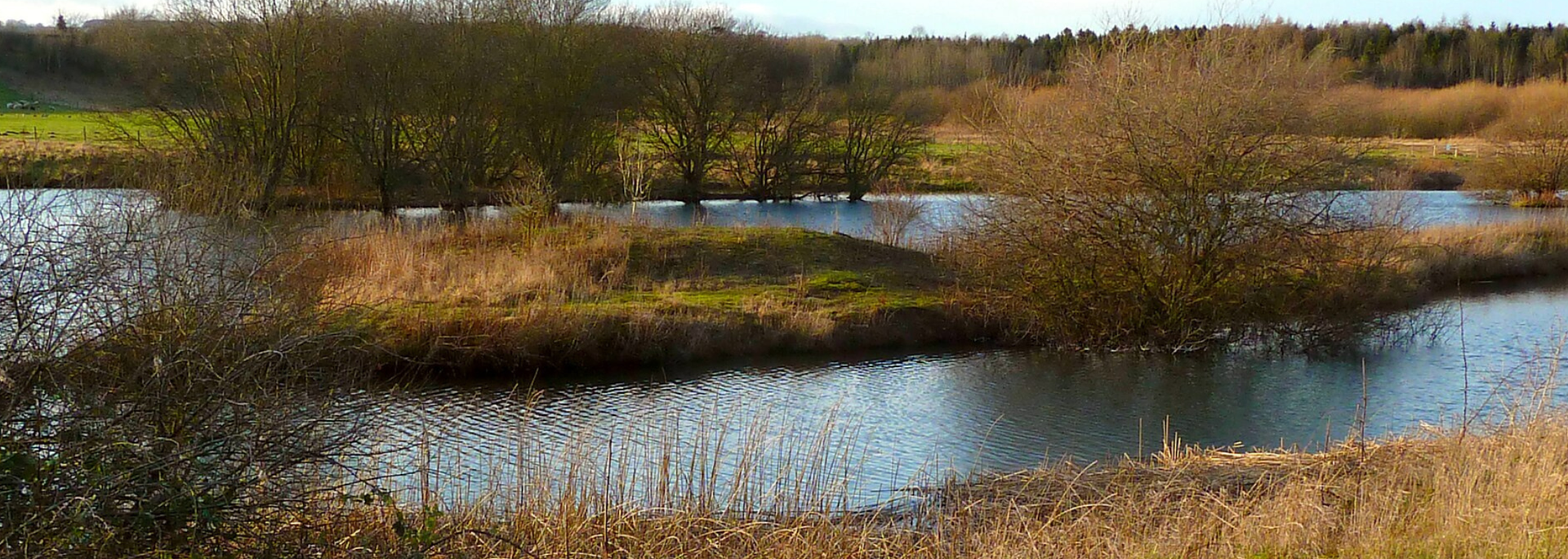 Picture of Marfield Wetlands. 