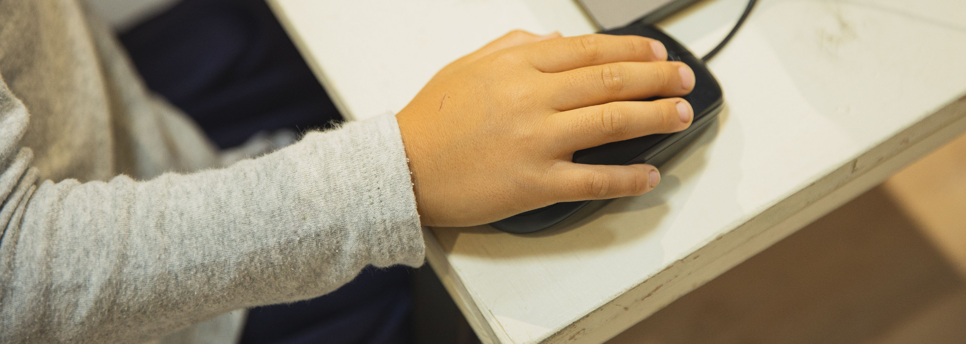 Picture of a hand on a mouse. 