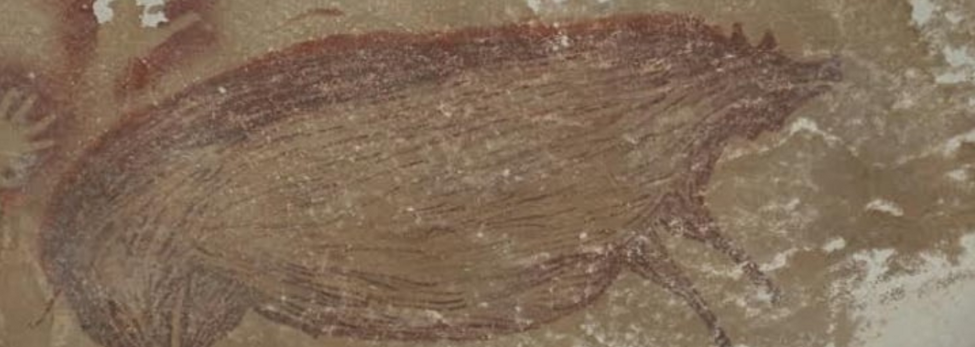 Cave painting of a pig-like animal, depicted in red and brown hues on a rough, light-colored surface.