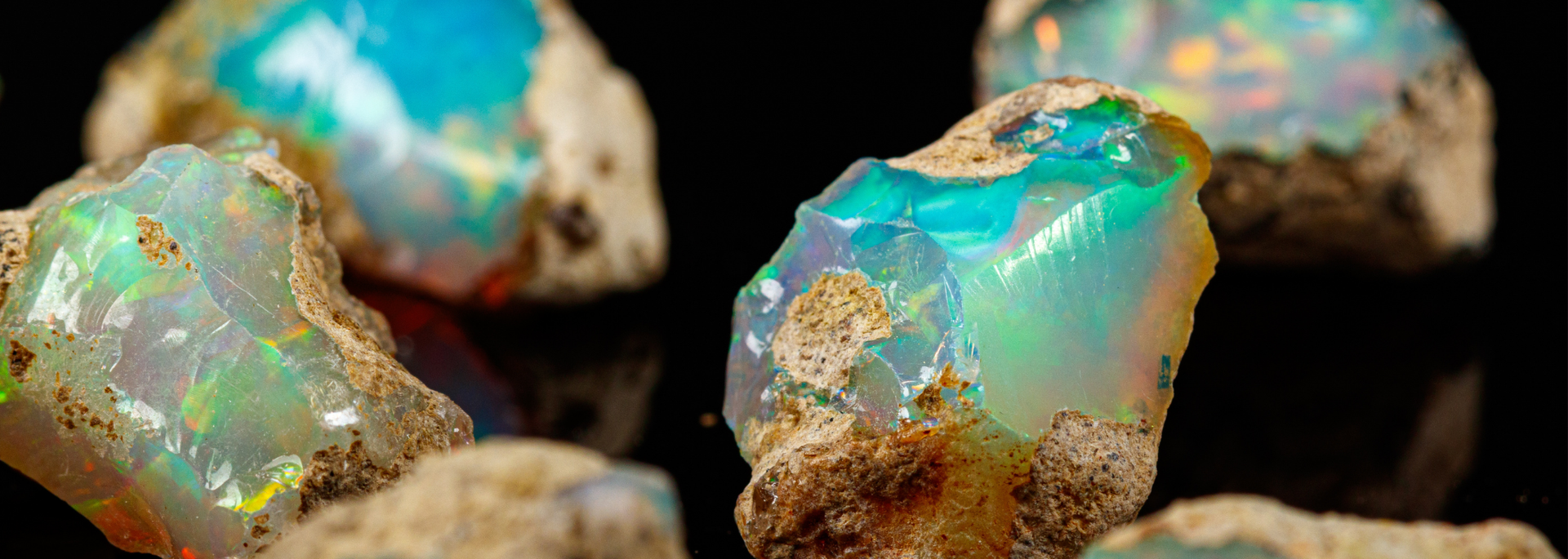 Picture of Opal. Picture of Opal.