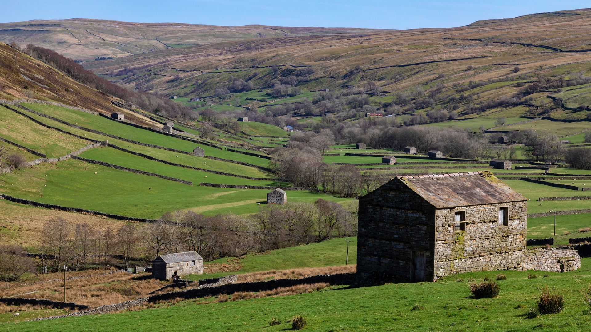 Discover our favourite family-friendly nature days out in Yorkshire, from waterfalls and caves to forests, wildlife and countryside adventures.
