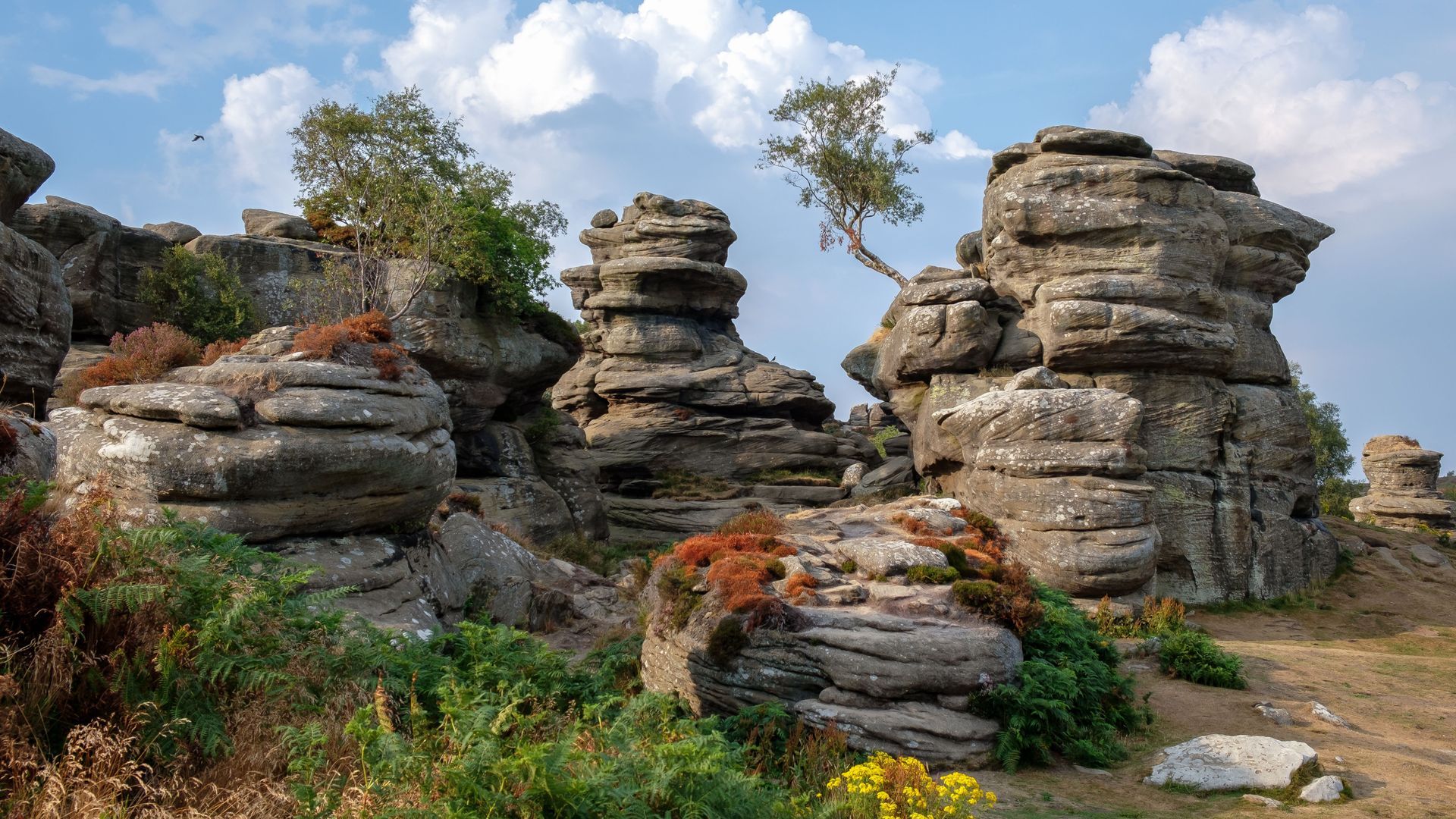 Want to experience the weird and wonderful side of Yorkshire? Discover 11 unusual places to visit
