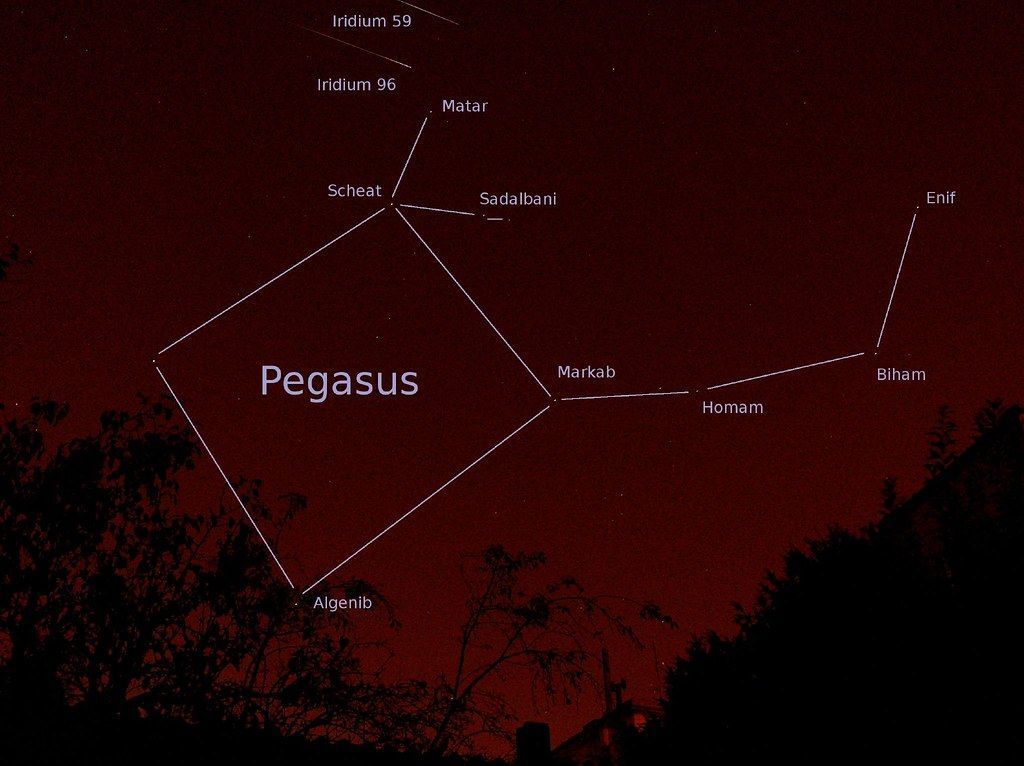 Night sky view of the Pegasus constellation, a large square with connecting lines and star labels against a red-tinted backdrop.