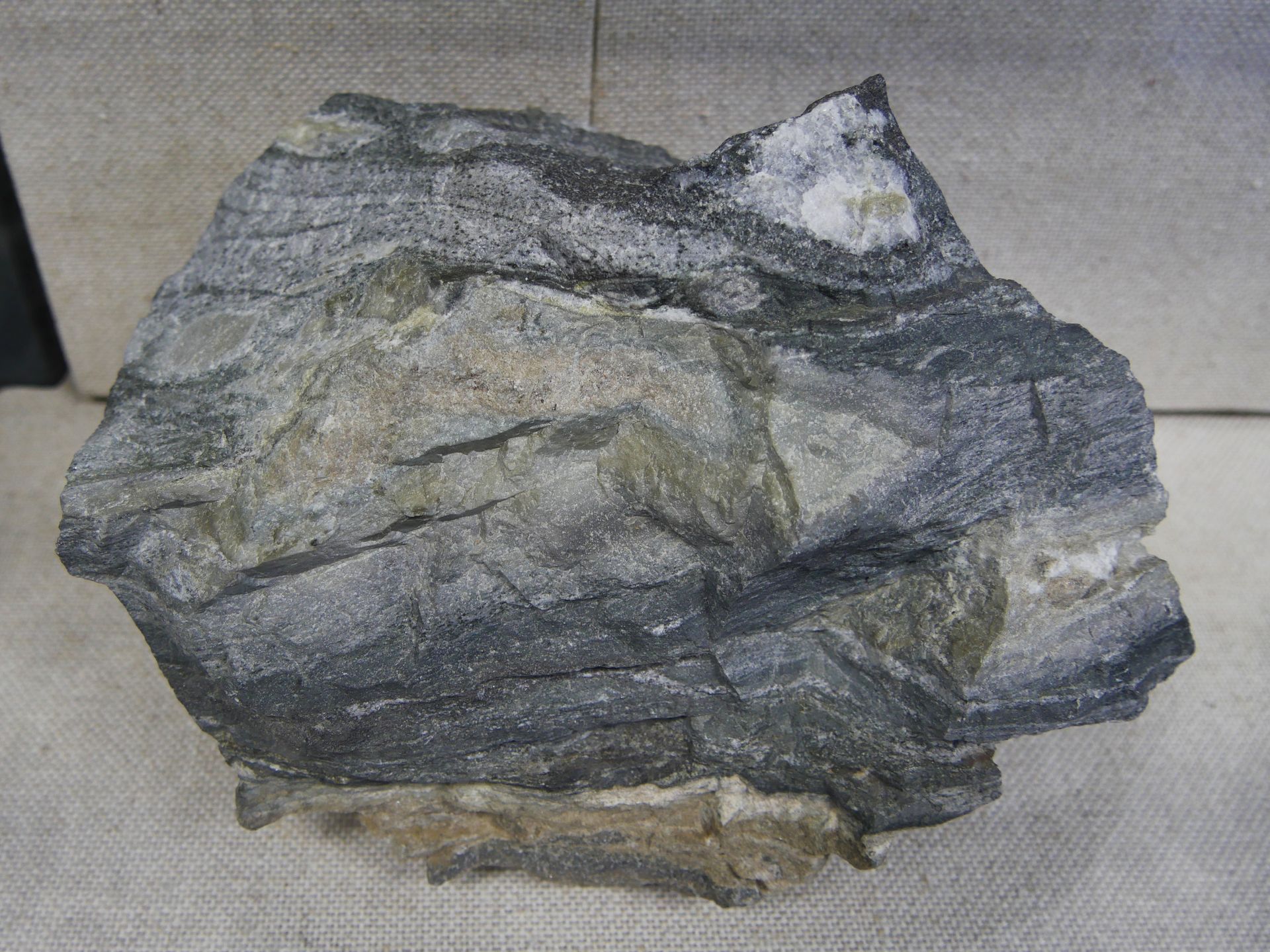Gray and black banded metamorphic rock with folded layers.