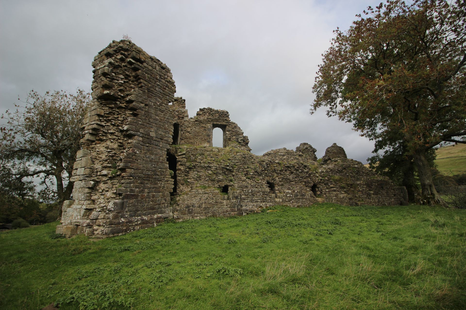 Ruins of a stone castle on a grassy hill under a cloudy sky, with a tree to the right.