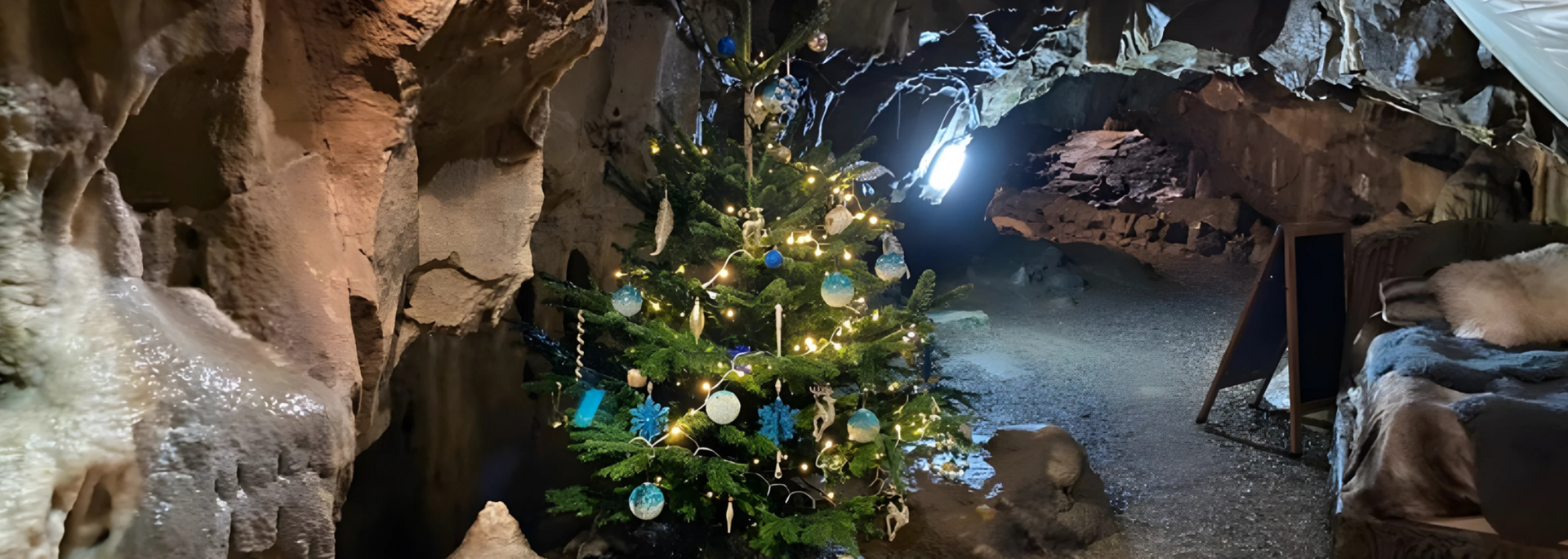 A decorated Christmas tree sits inside a cave, lit with fairy lights and ornaments.