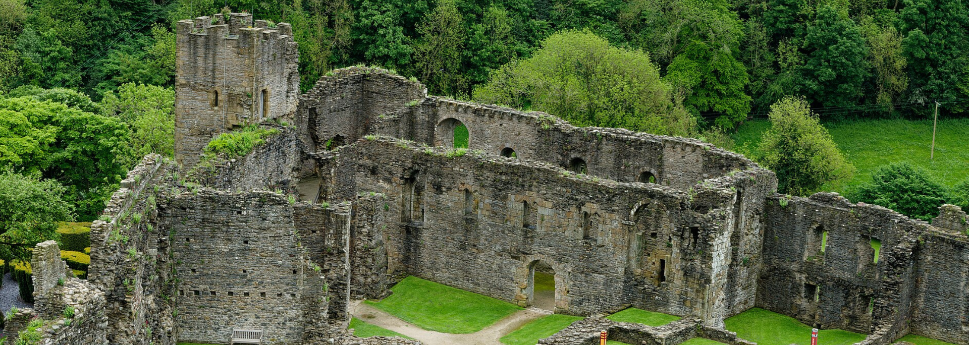 Stone castle ruins with green grass and trees in the background.