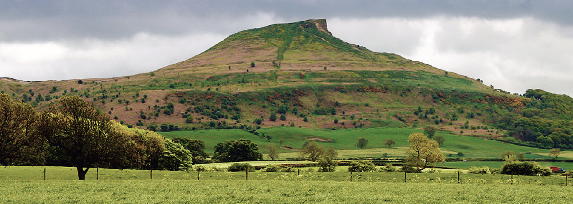 A green, grassy field with a large, green-topped mountain under a cloudy sky.
