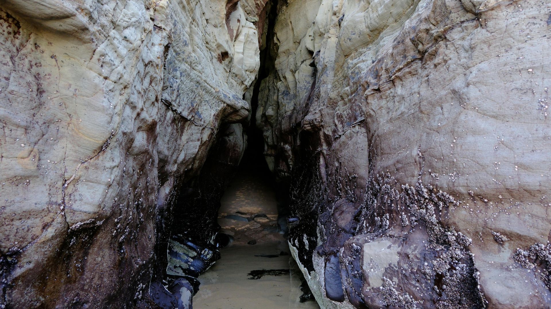Rock cave entrance with dark opening and light-colored walls.