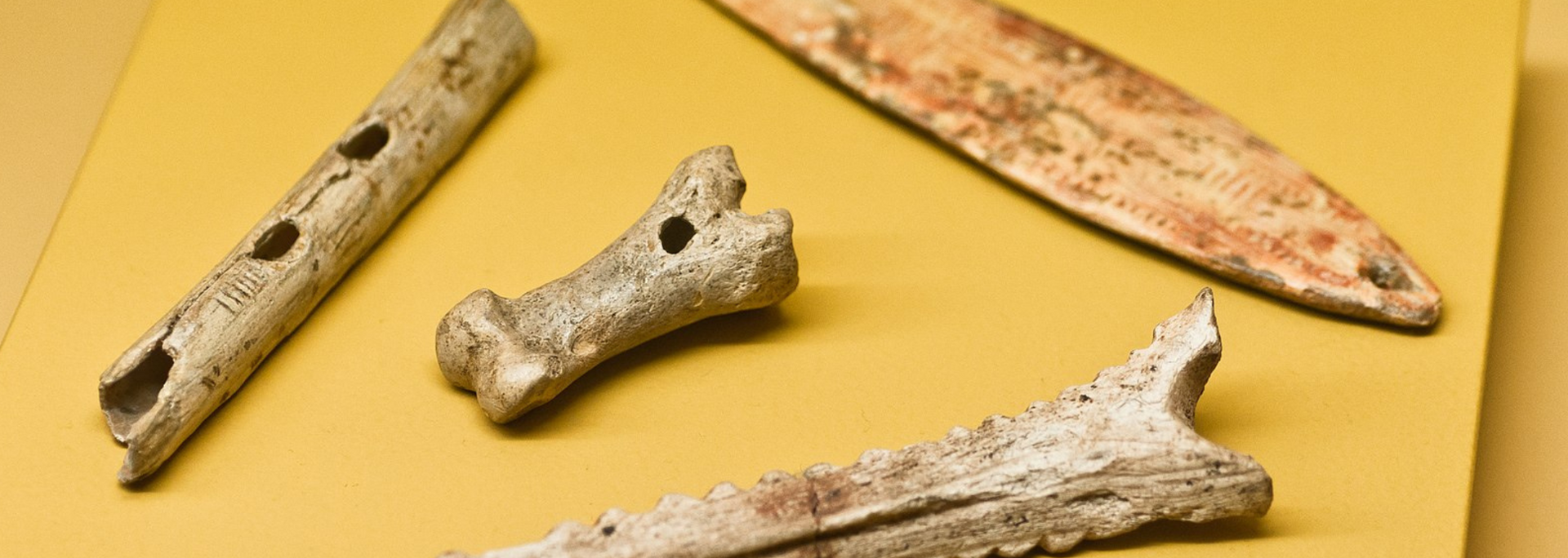 Ancient bone flutes and tools on a yellow surface, likely in a museum.