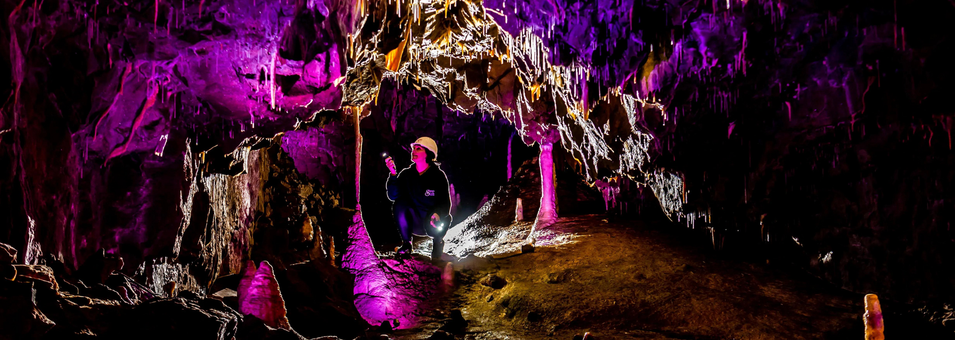 A person in a cave illuminated by purple and yellow lights, showcasing stalactites.