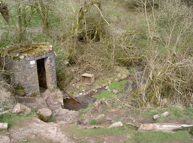 Stone well house next to a stream in a wooded area.