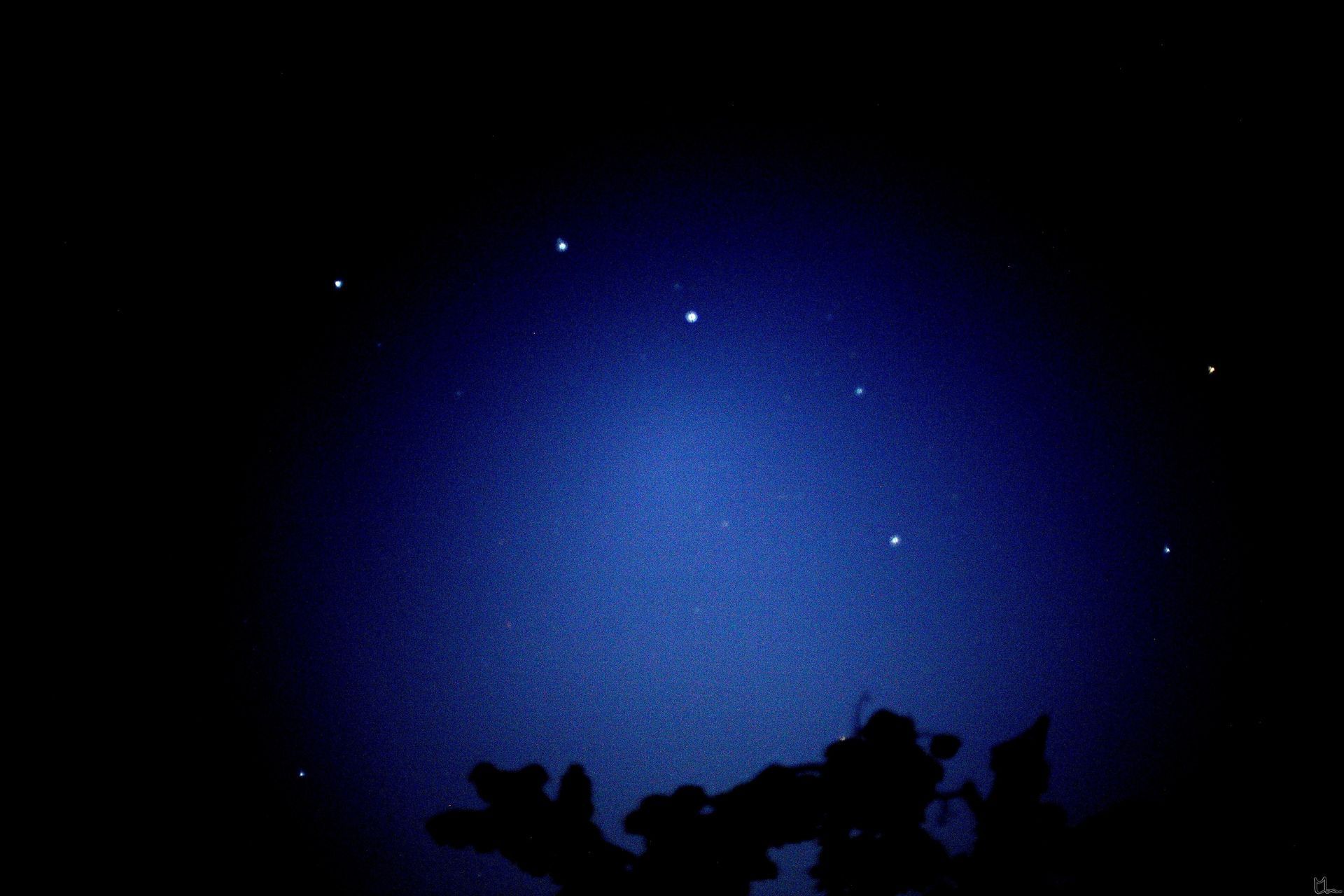 Night sky with visible stars and a tree silhouette in the foreground, illuminated by blue light.