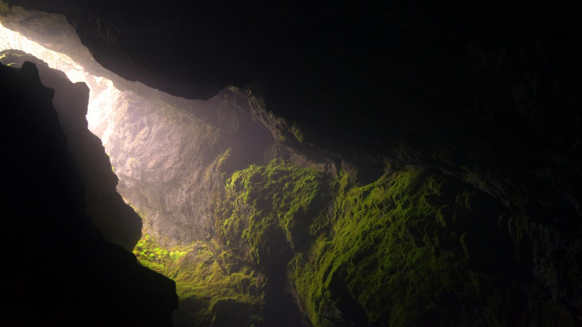 Sunlight streams into a dark cave, illuminating green moss on the rock walls.