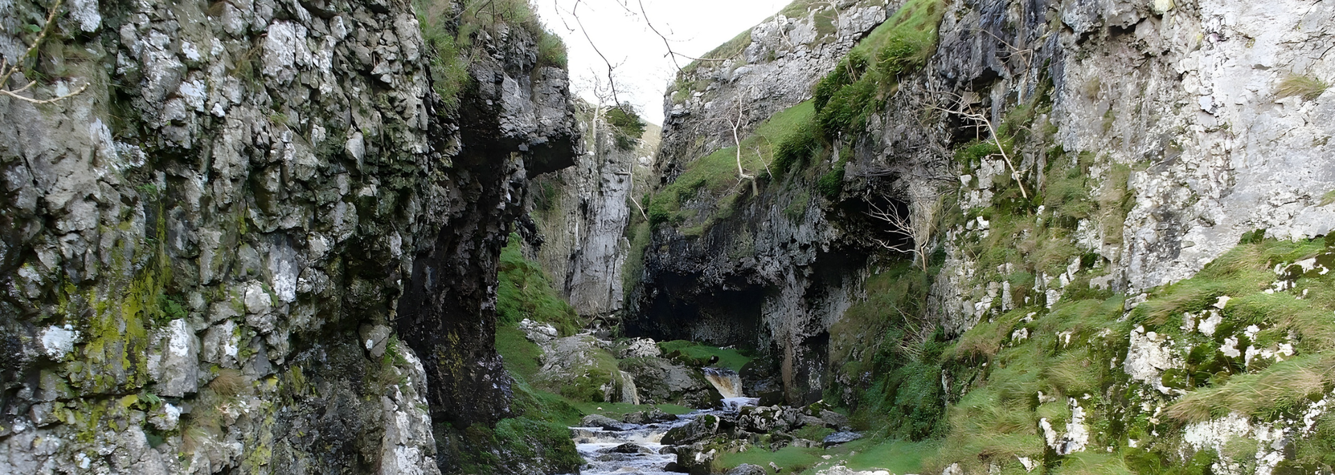 A narrow gorge with water flowing at the bottom. The rocky walls are covered with moss and grass.