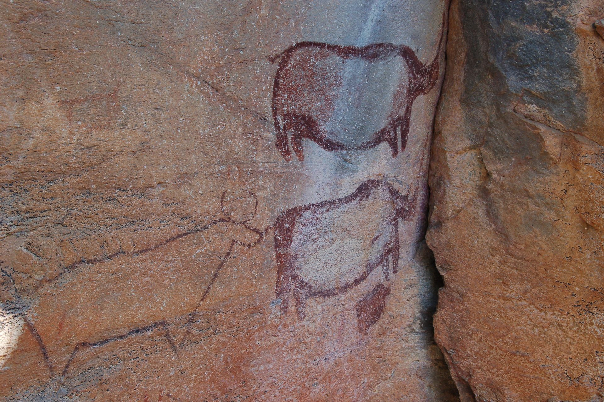 Cave painting of two brown animals on a tan rock surface.
