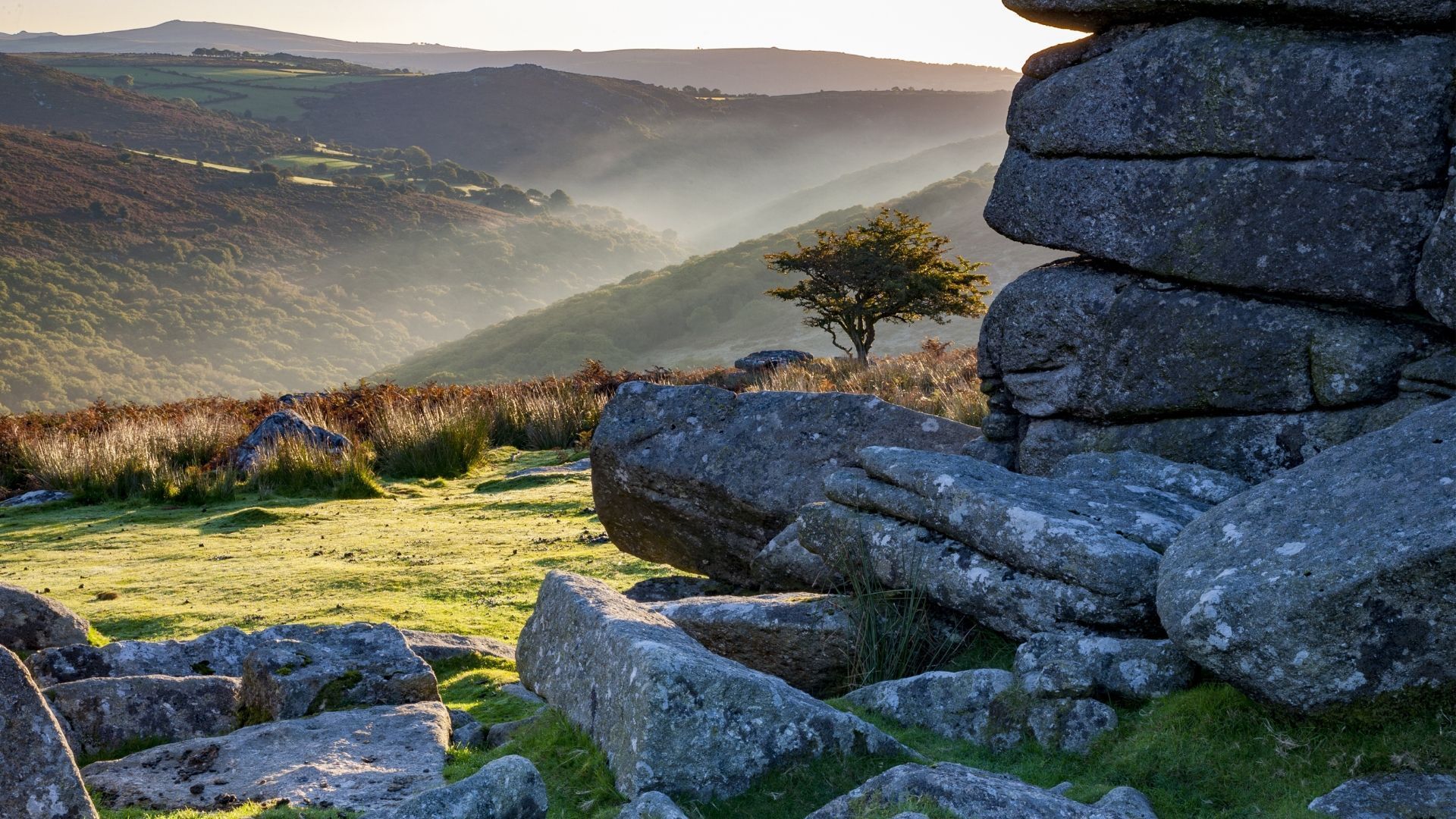 Rocky outcrop frames a sunlit valley with a lone tree, grassy field, and misty hills.