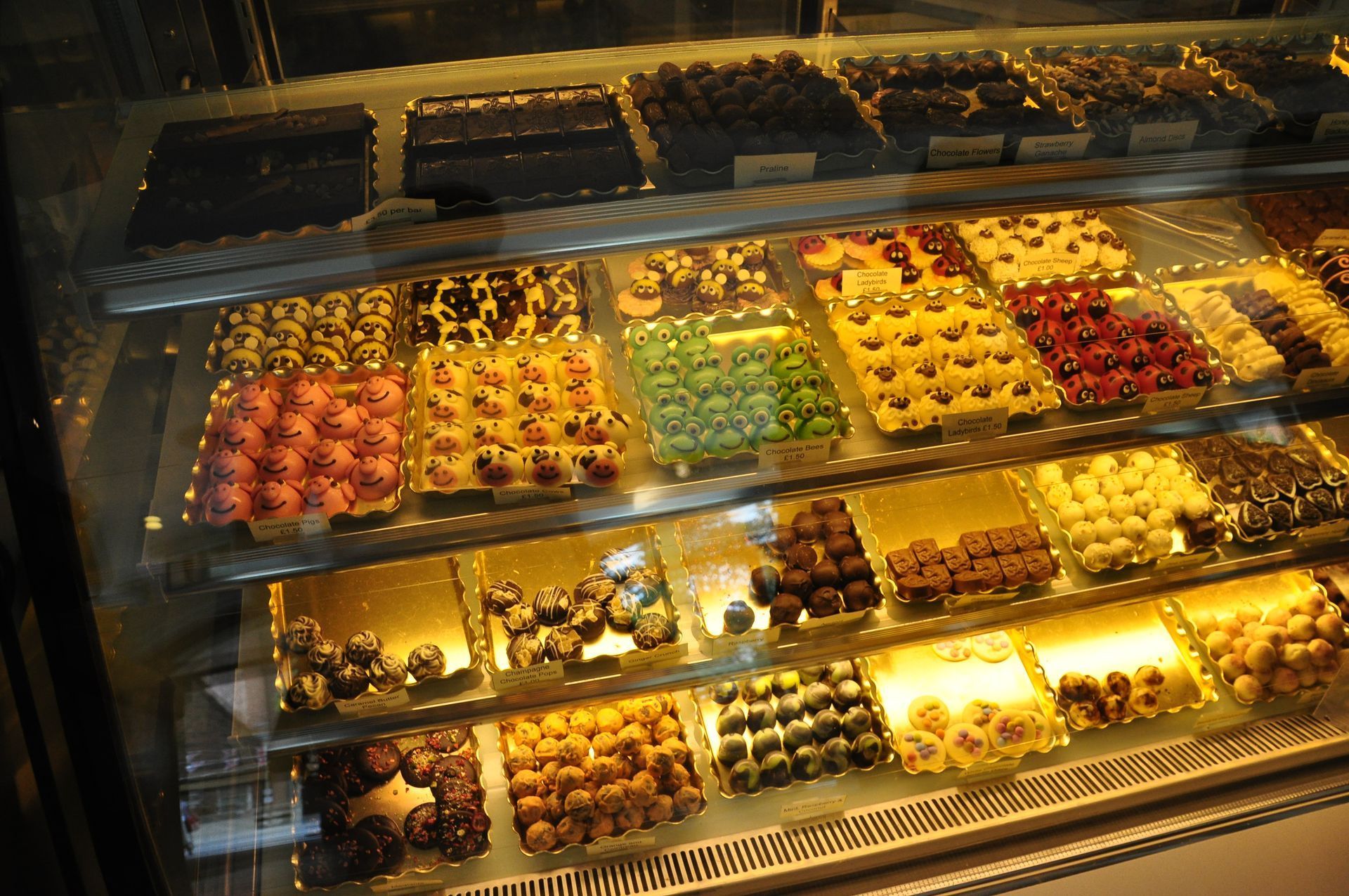 Display case filled with various chocolates and truffles, showcasing a variety of colors and textures.