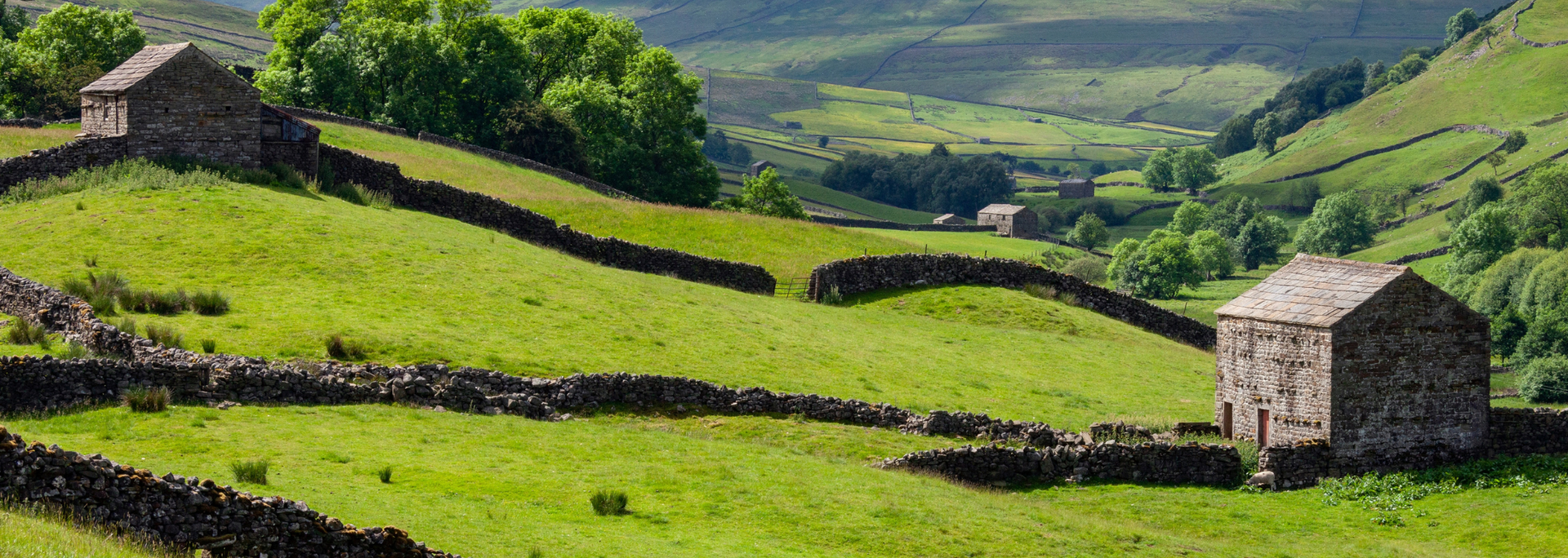 Picture of Yorkshire. 