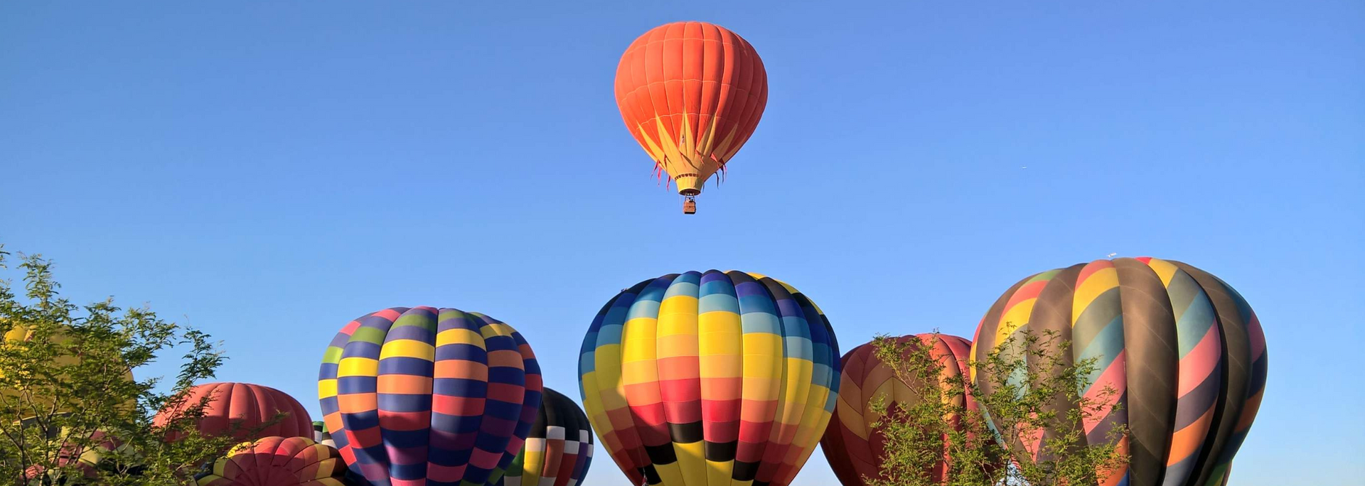 Colorful hot air balloons against a clear blue sky, one balloon is ascending.