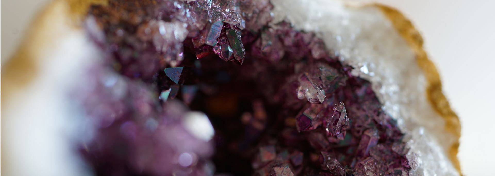 Close-up of a geode with purple crystals inside, bordered by white and gold.