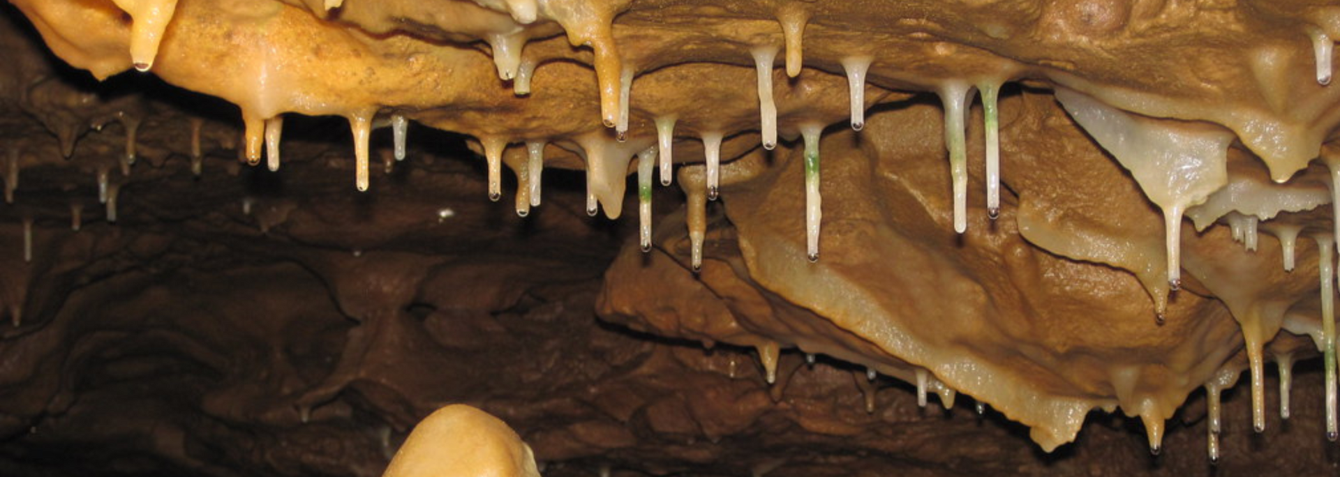 Brown and tan cave interior with stalactites hanging from the ceiling.