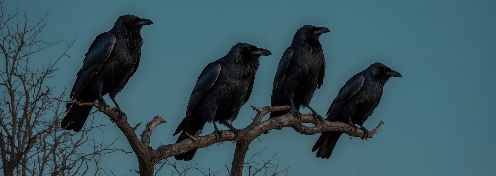 Four black crows perched on a bare tree branch against a blue sky.