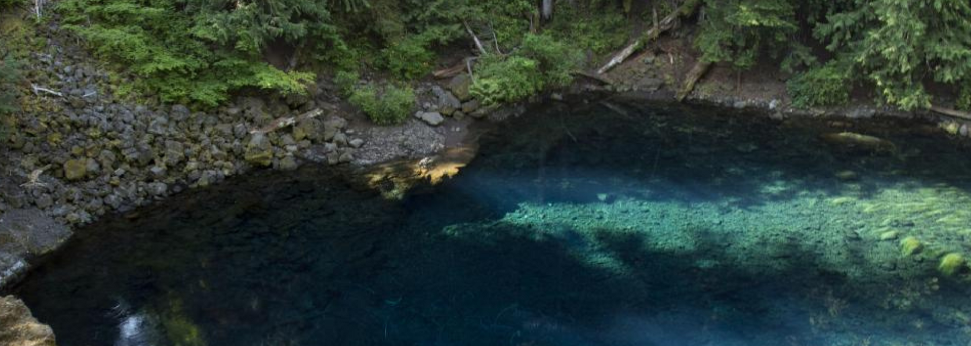 A clear, turquoise pool surrounded by rocks and lush green trees. Sunlight reflects in the water.