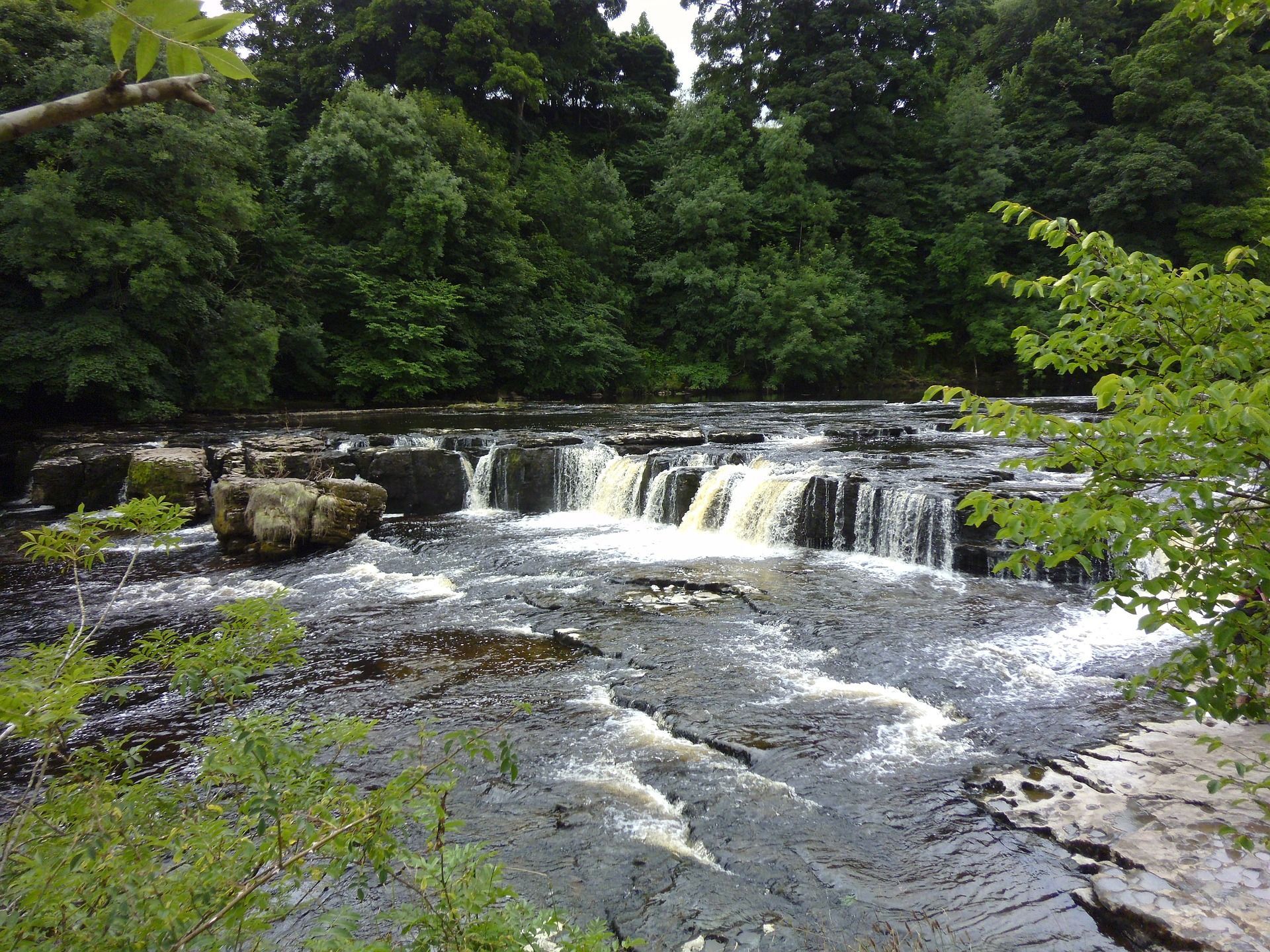Waterfall cascading over dark rocks, surrounded by green trees.