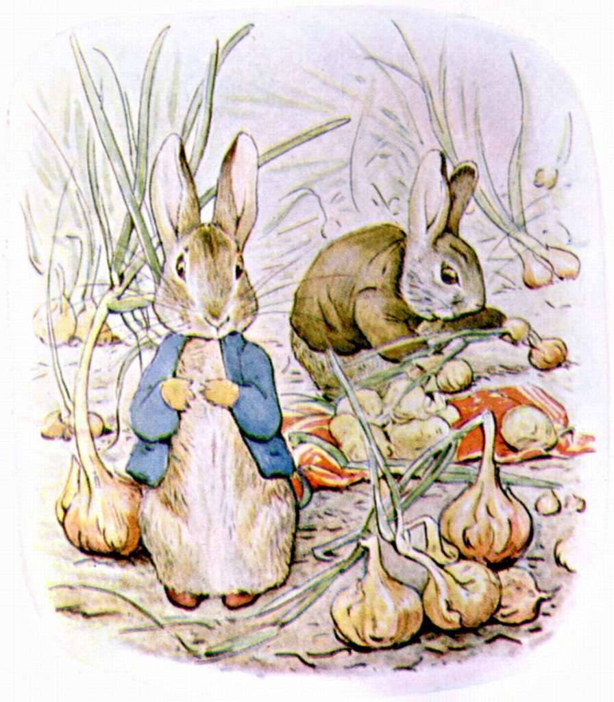 Two rabbits in a garden. One wears a blue jacket, the other is digging among onions and vegetables.