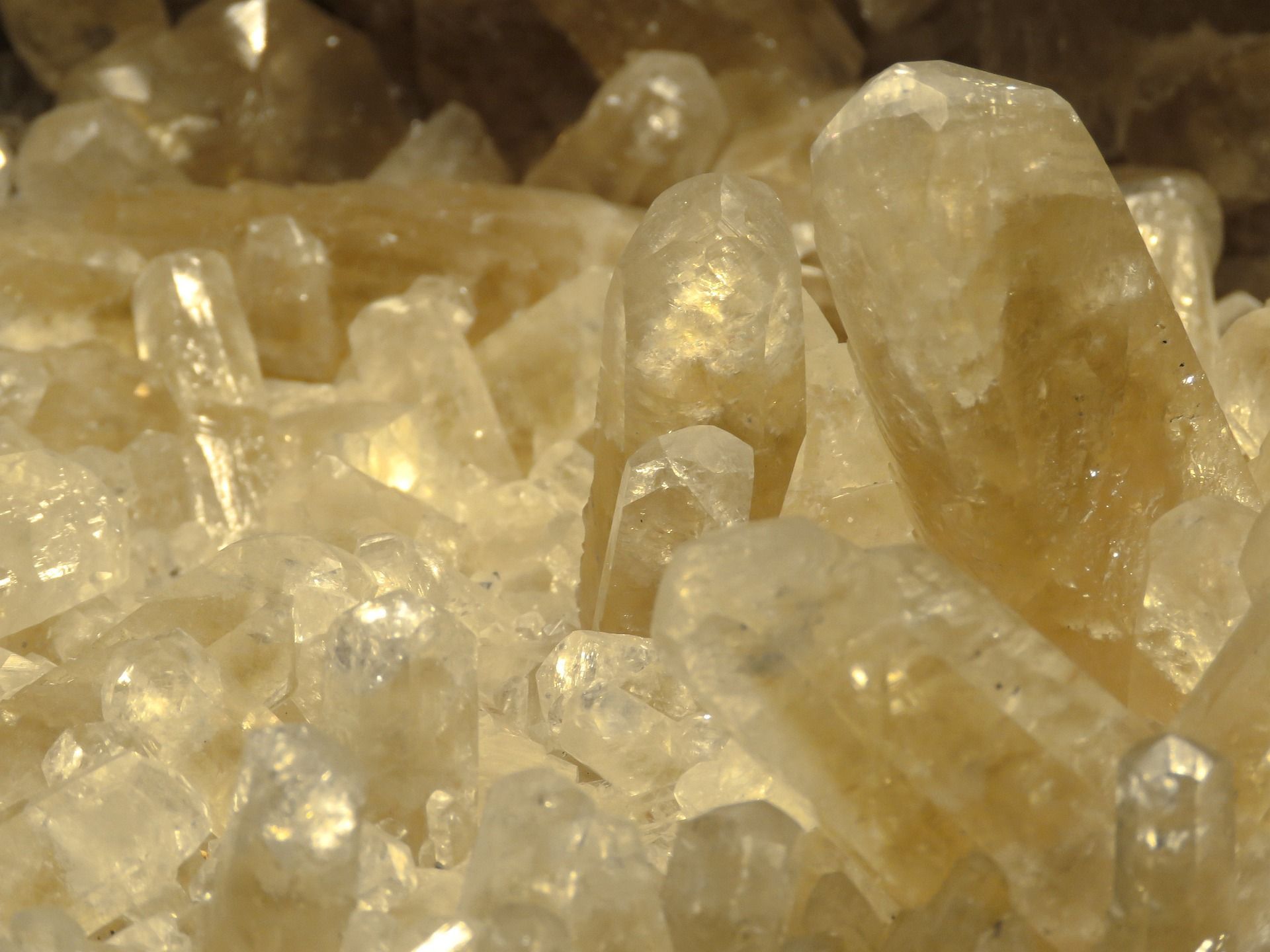 Close-up of numerous, translucent, golden-yellow calcite crystals clustered together.