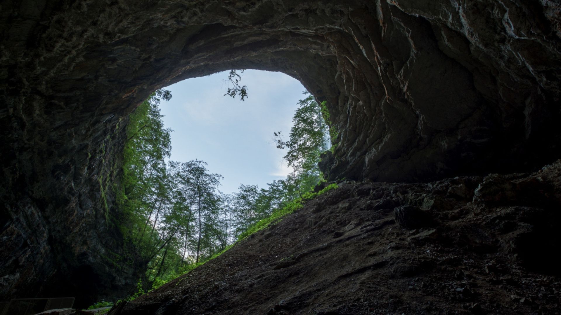 Cave opening looking toward sky; trees and sunlight visible.