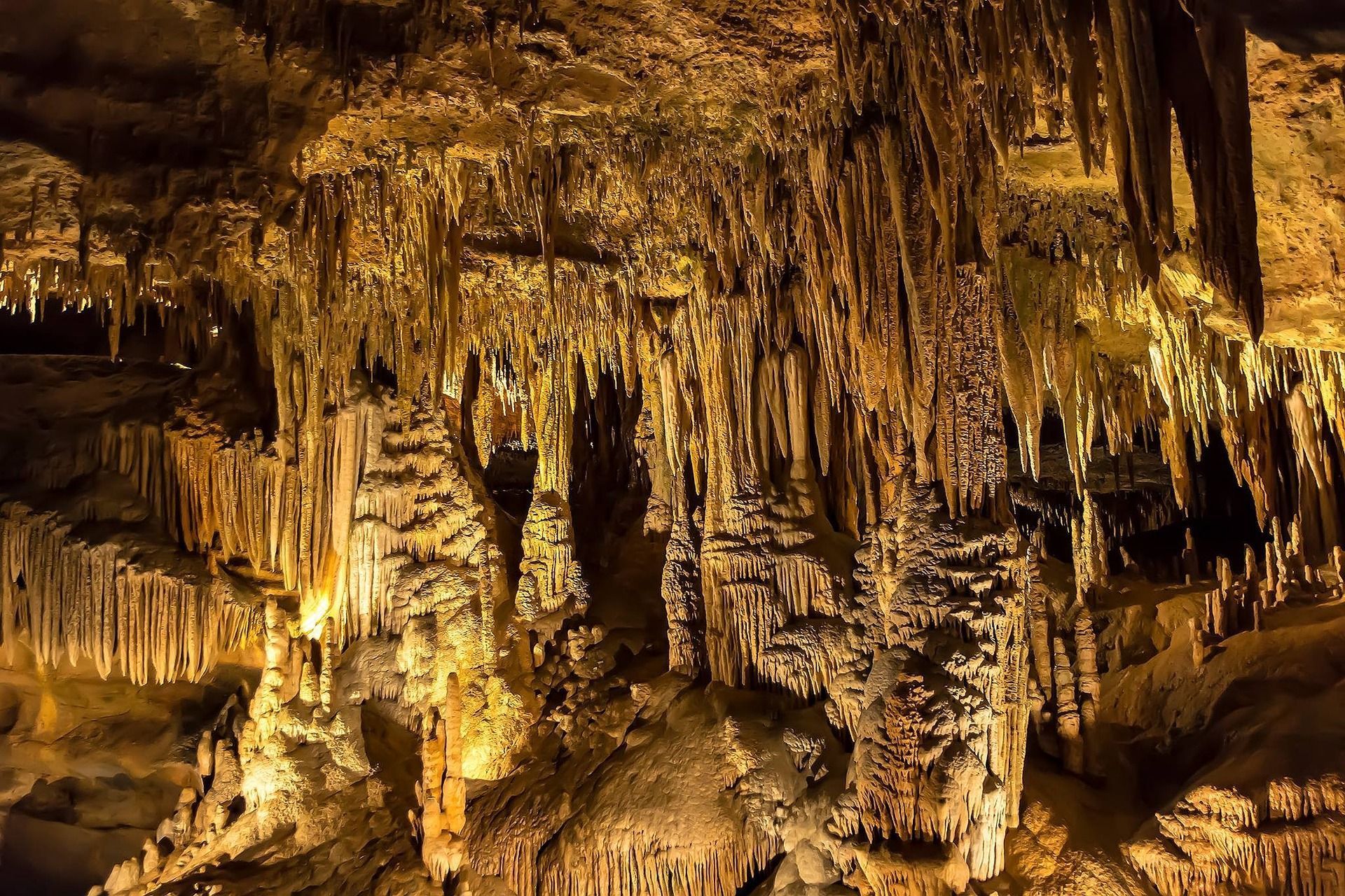 Cave interior with numerous stalactites and stalagmites in varying sizes and textures, lit with warm yellow light.