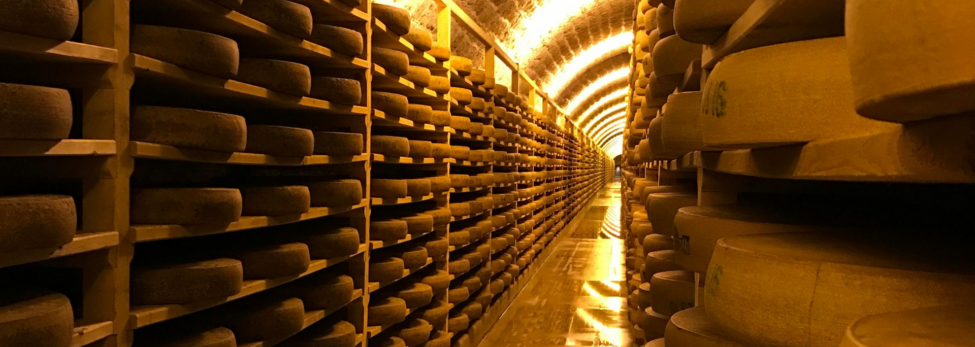 Rows of aging cheese wheels in a dimly lit, arched cellar, stacked on wooden shelves.