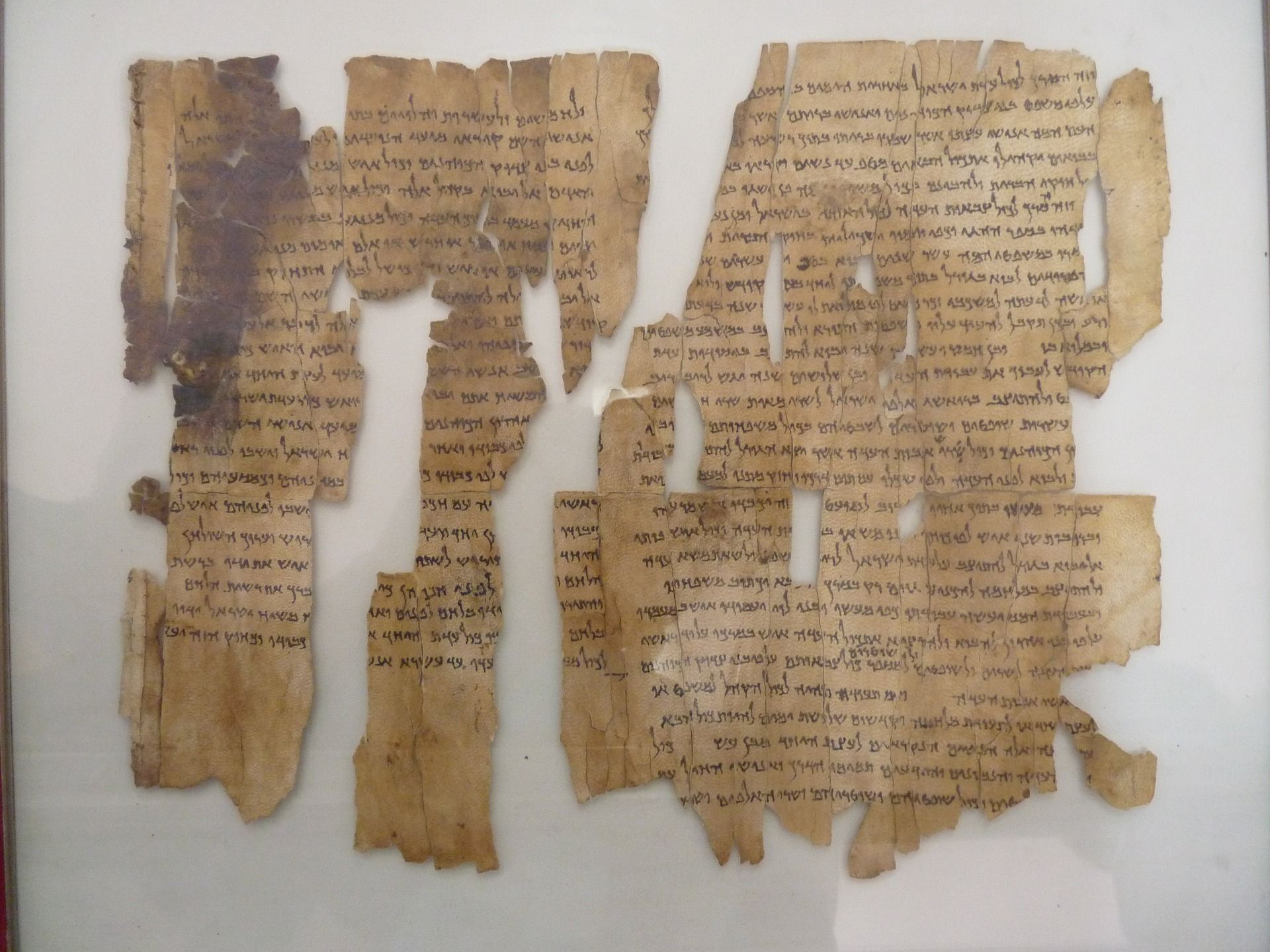 Fragmented Dead Sea Scrolls, Hebrew text on aged parchment.