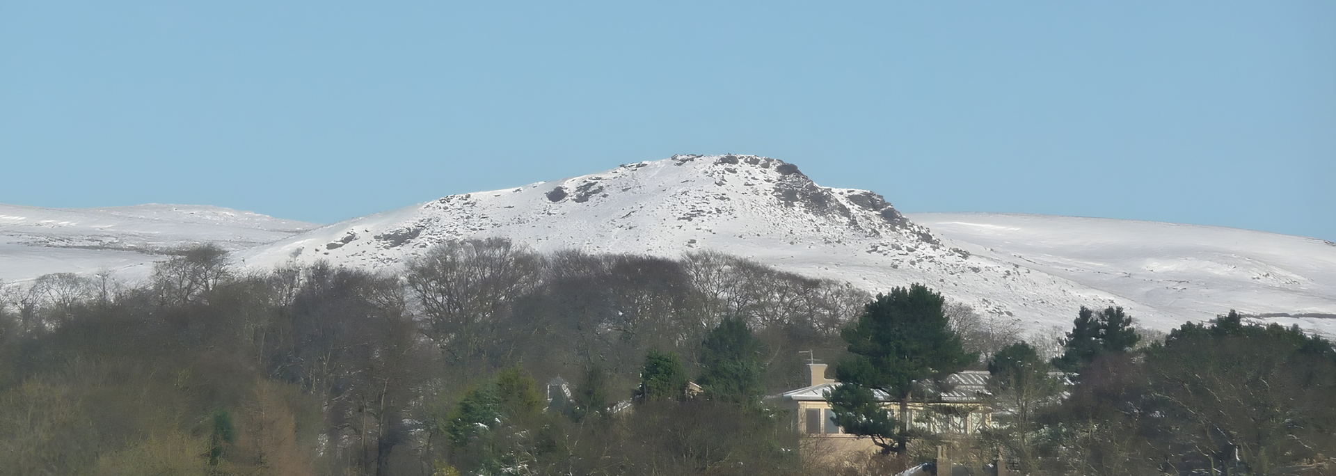 Snow-covered mountain in a landscape, with trees in the foreground and a clear blue sky.