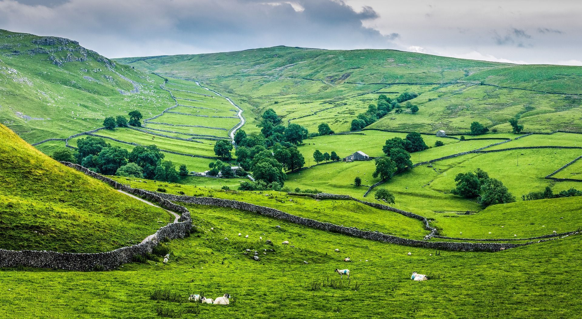 Rolling green hills and valleys, with stone walls and scattered trees under a cloudy sky.