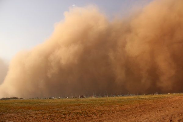 Dust storm engulfing a field, brown cloud obscures the sky.