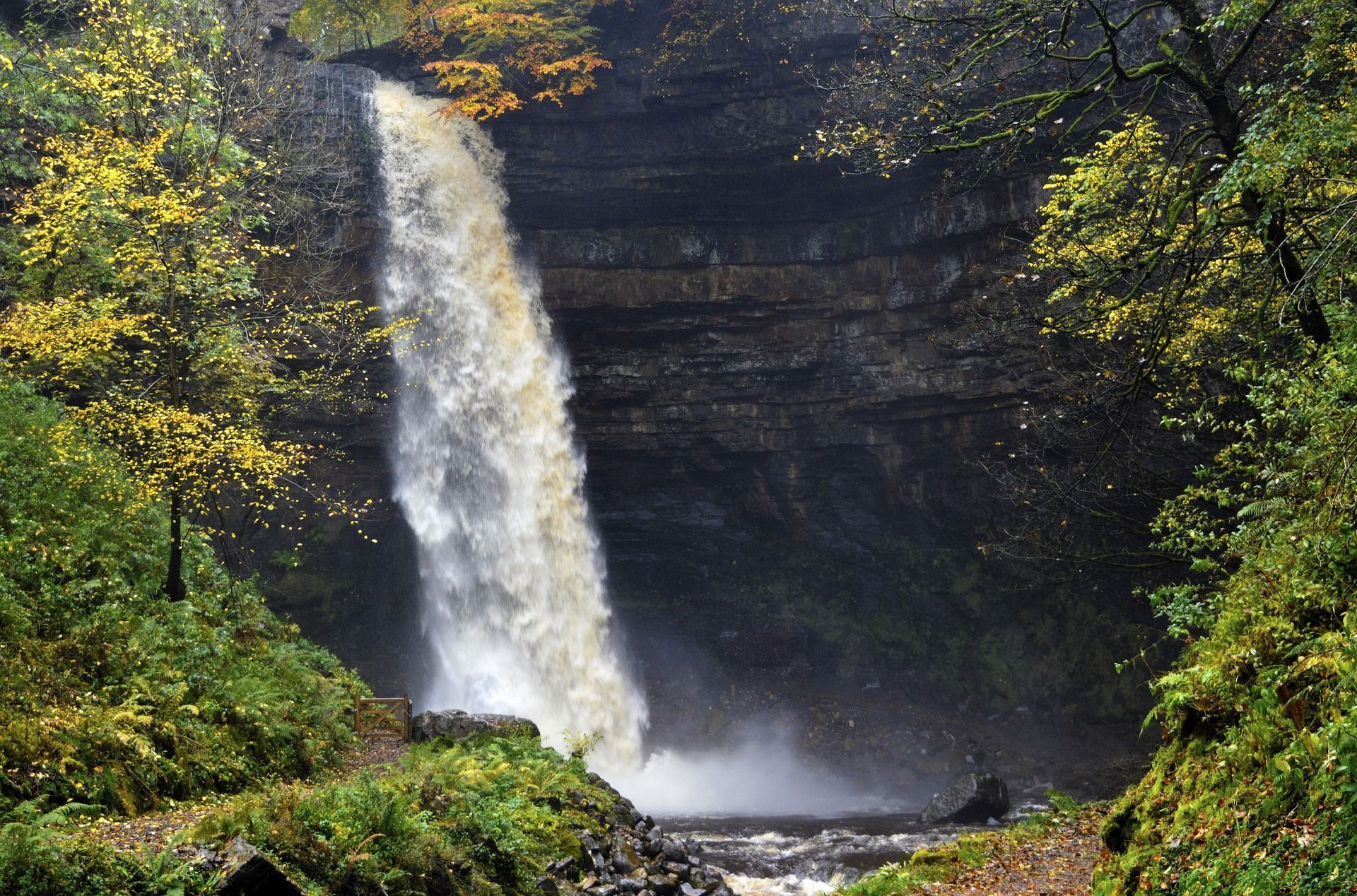Waterfall cascading over dark rock into a pool; lush green and yellow foliage surrounds.