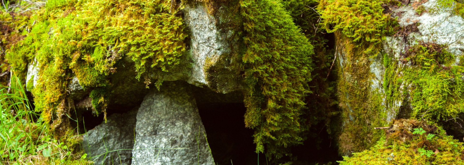 Stone structure covered in green moss.