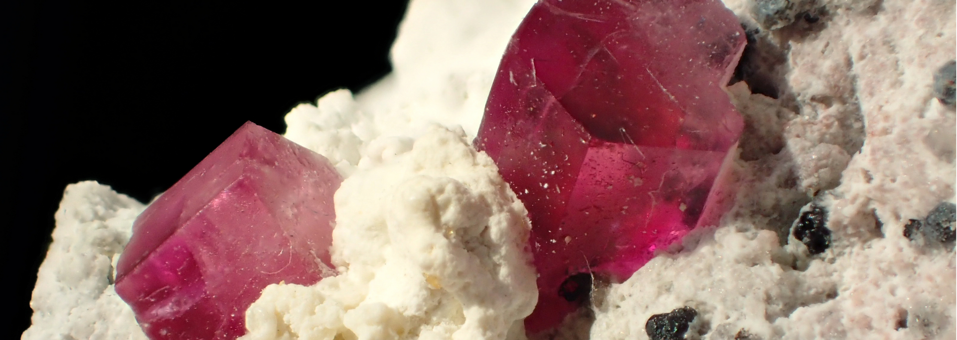 Close-up of pink, translucent crystals embedded in a light-colored rock matrix with black speckles, against a black background.