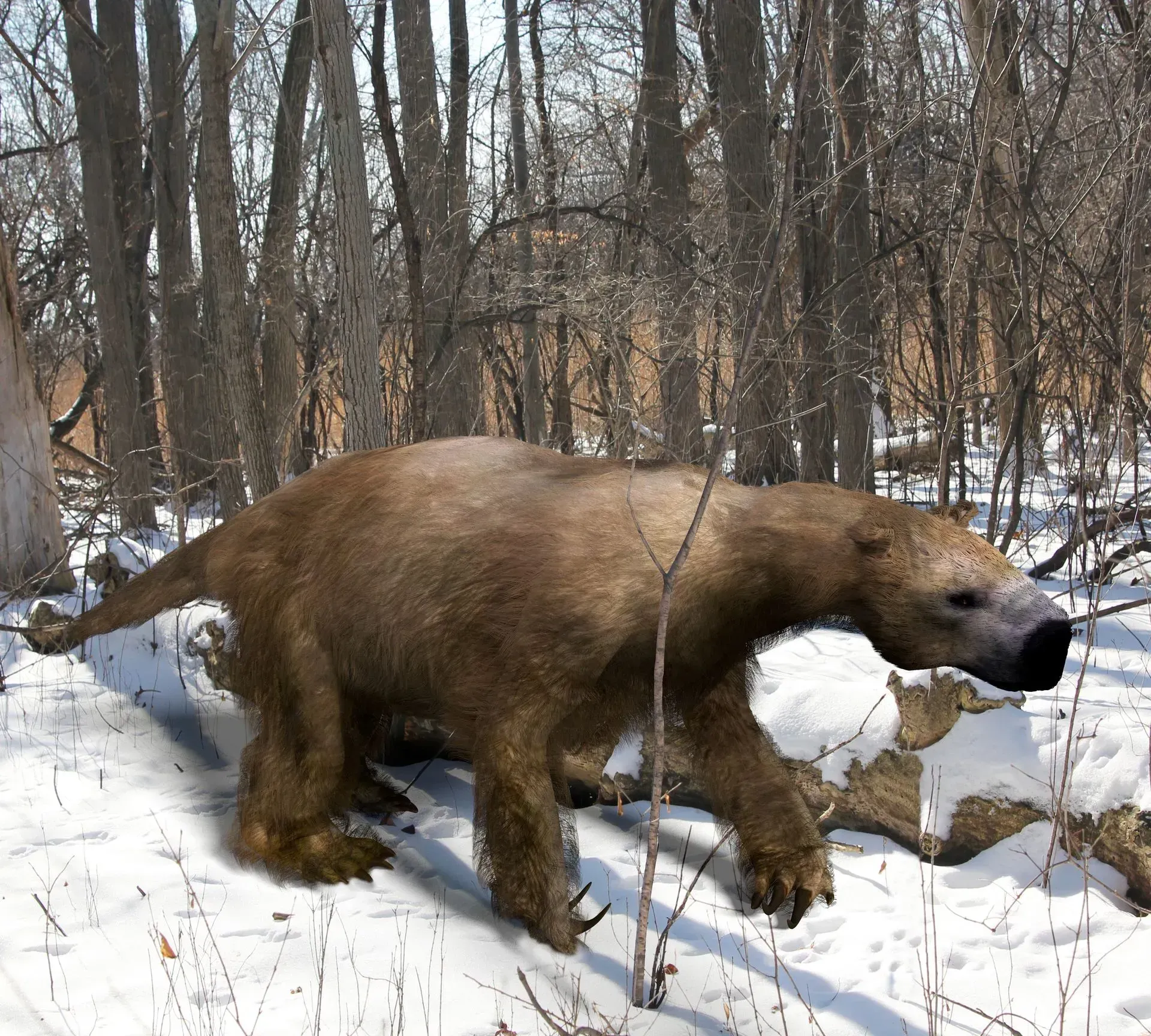 Large, brown ground sloth in a snowy forest, walking past fallen logs.