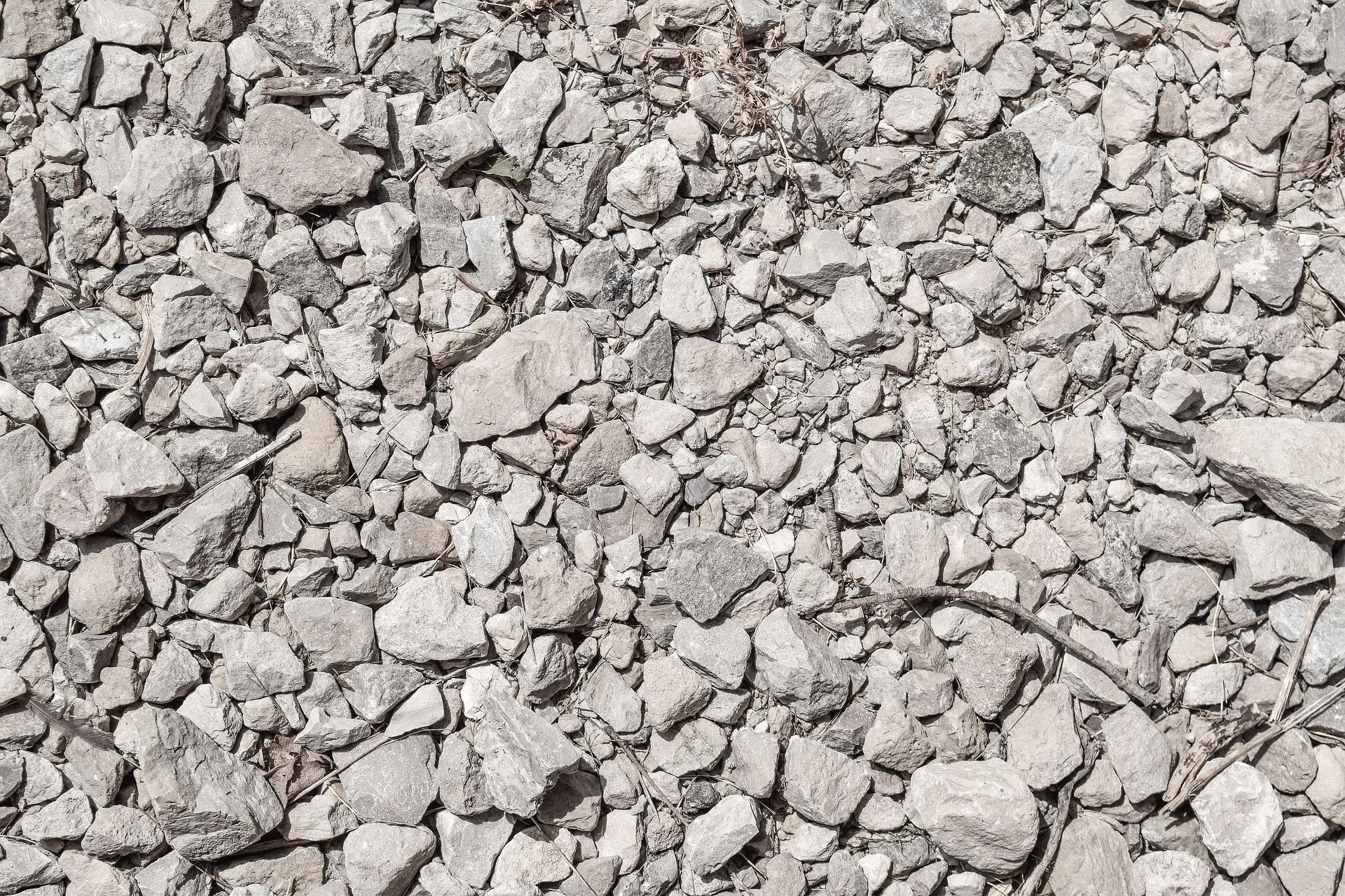 Close-up of scattered gray rock fragments, varying sizes, on a surface.