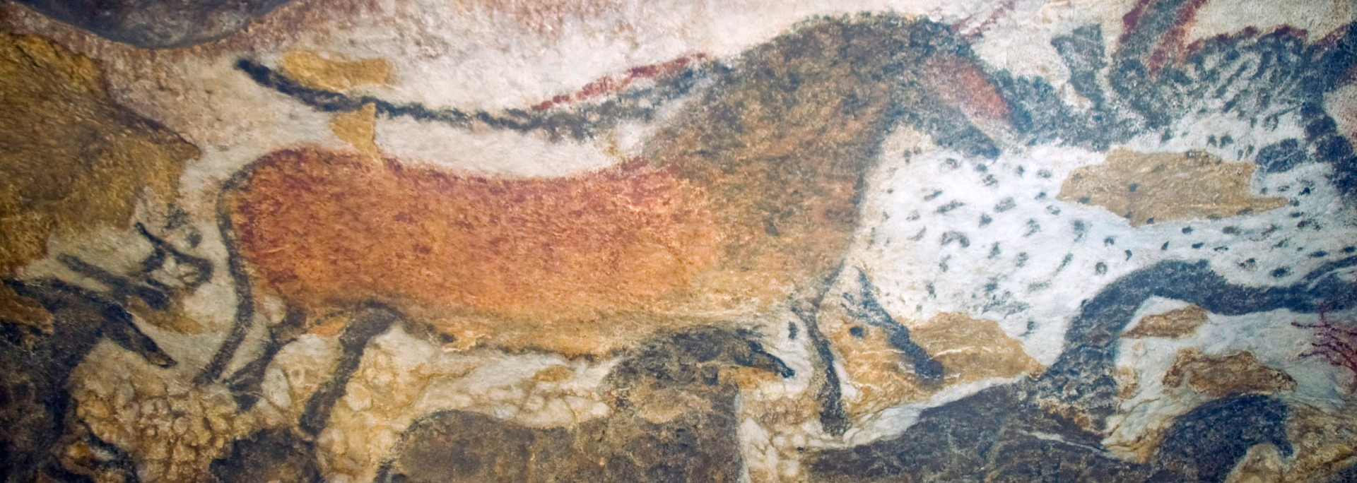 Cave painting of a horse in ochre, black and white. Horse's tail curves over its back.