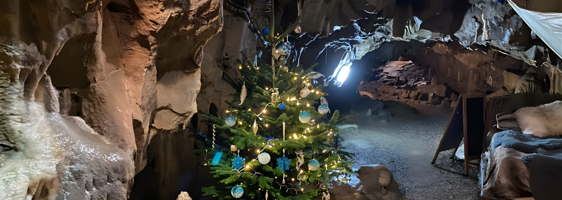 Christmas tree decorated in a cave with stalactites.