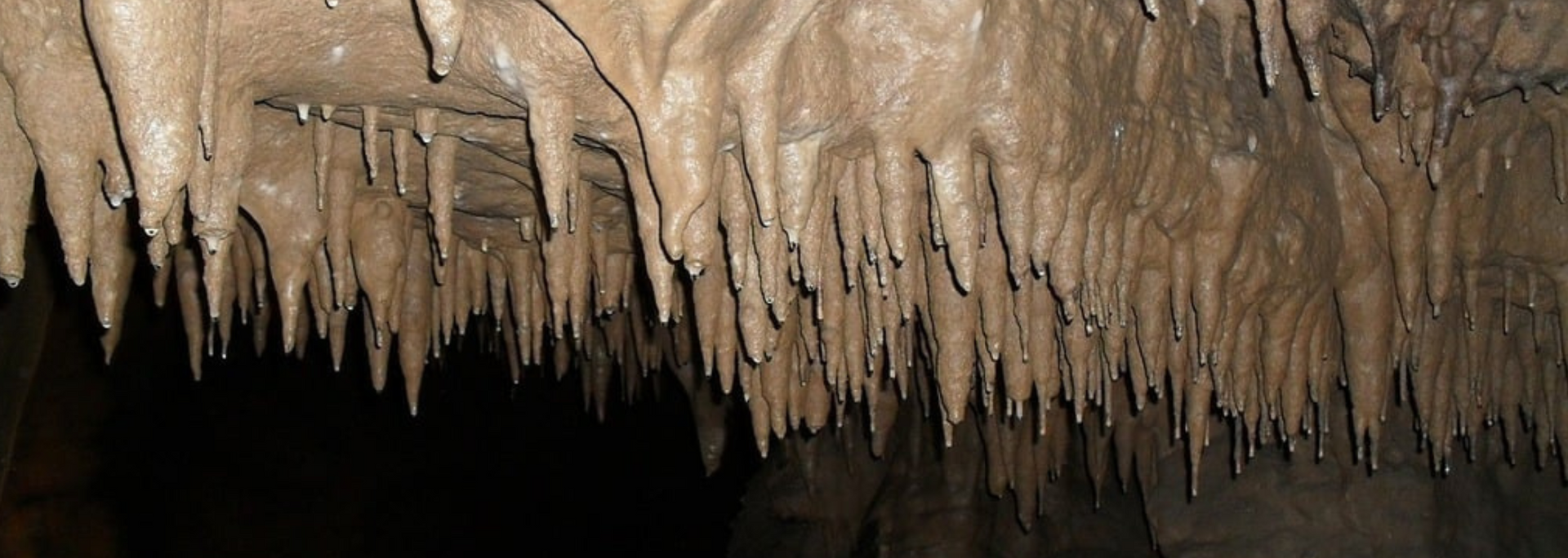 Close-up of cave ceiling with numerous stalactites hanging down. Dark setting.