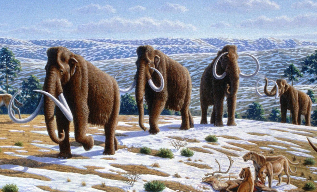 Woolly mammoths walking across a snowy plain with a few other animals.
