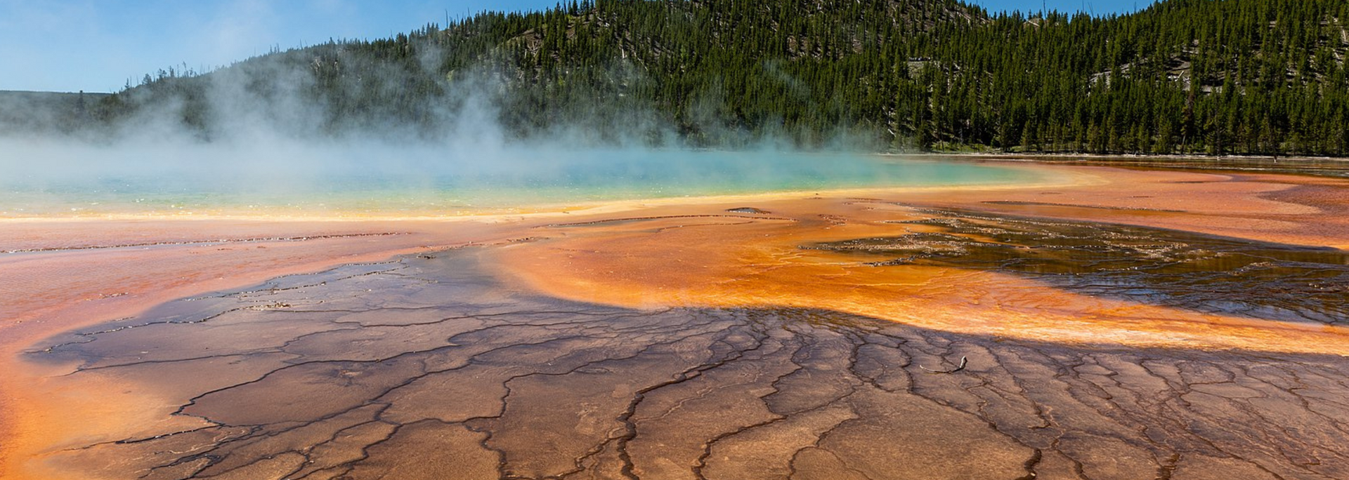 Colorful hot spring with steam rising, surrounded by orange, yellow, and brown mineral deposits, with green forest in the background.