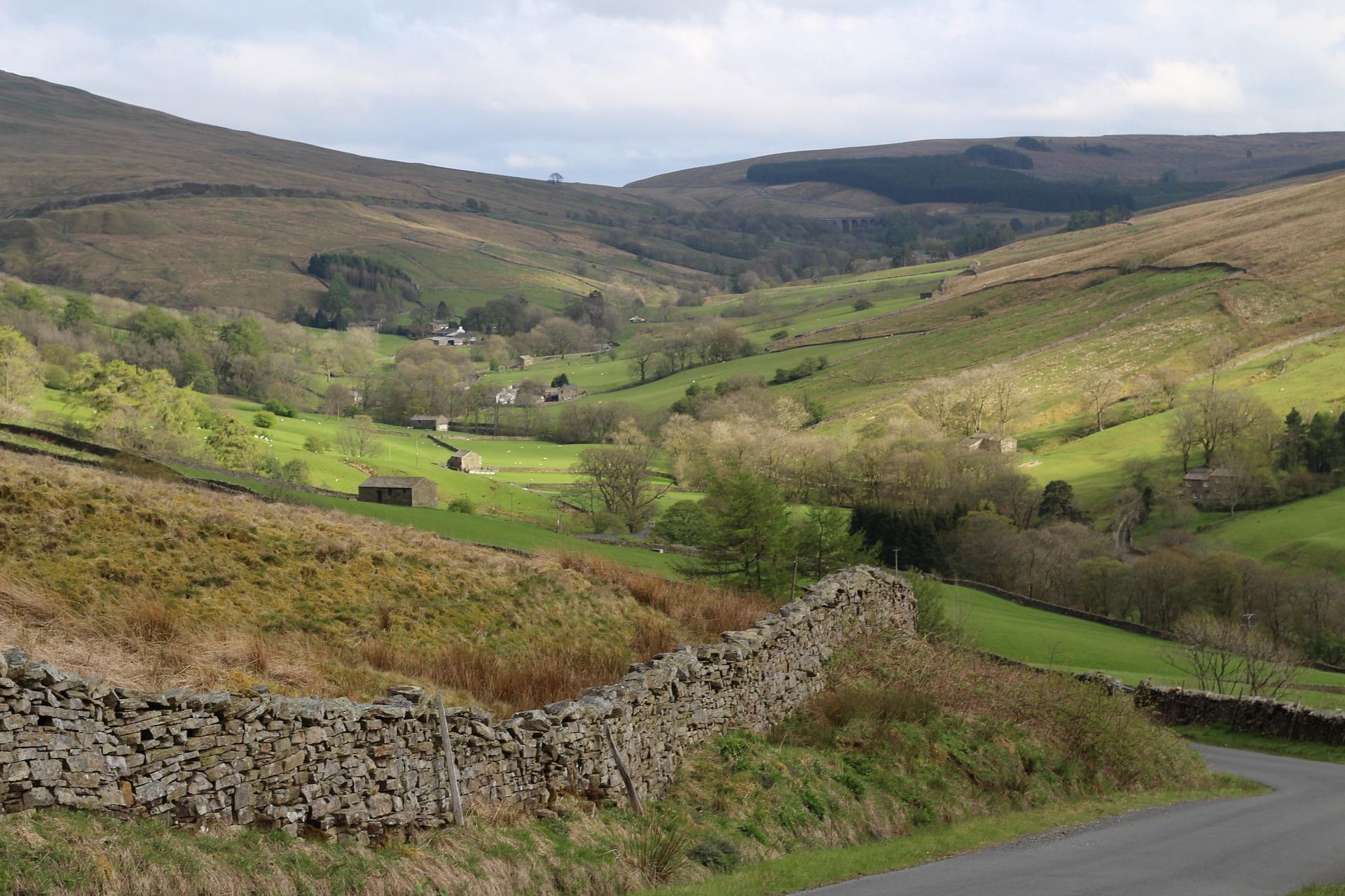 Green valley with stone wall and road, trees and hills in the background.
